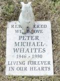 image of grave number 972818